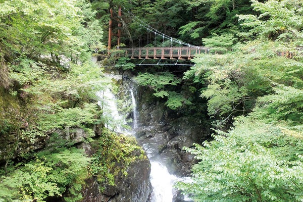 <奈良>新緑のみたらい渓谷ハイキングと洞川温泉街ご散策【垂水・名谷・三宮出発】1